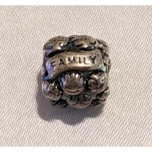Pandora 925 Sterling Silver Love and Family Charm Bead 791039
